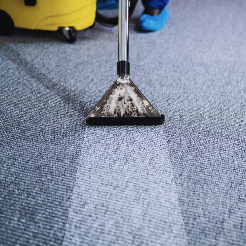 Teppich wird mit einer Sprühextraktionsdüse gereinigt.